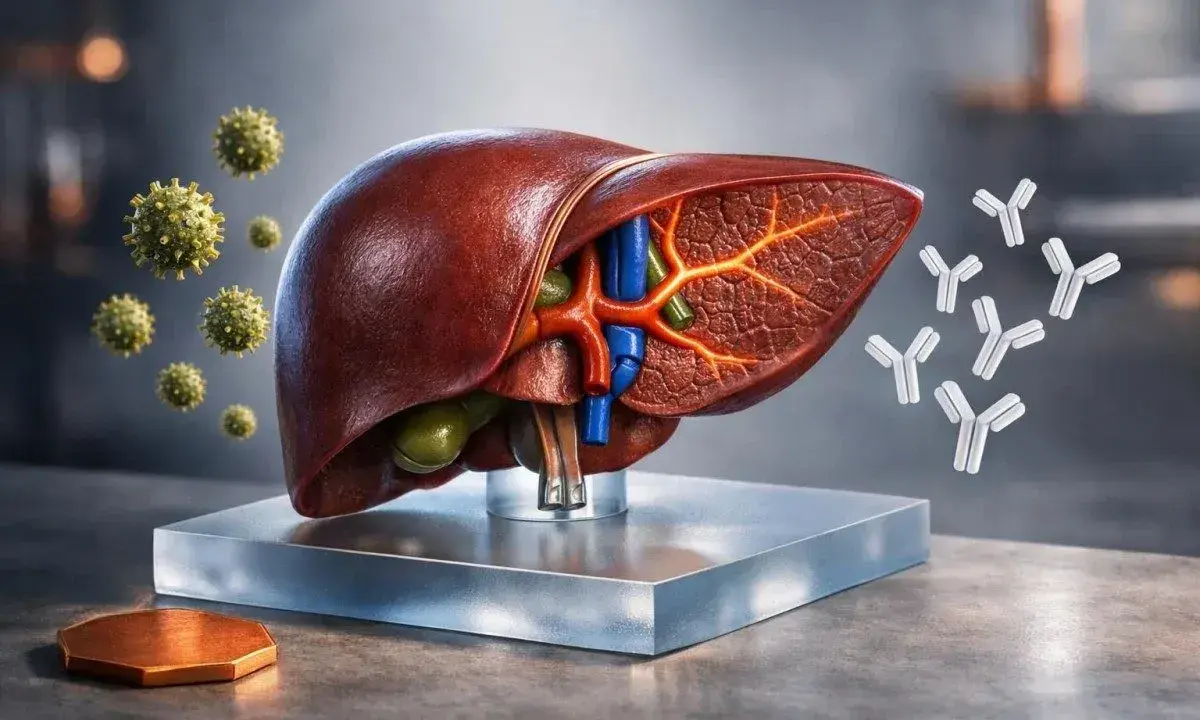 Fegato umano con virus e anticorpi. La presenza di anticorpi suggerisce un valore predittivo positivo per la risposta immunitaria.