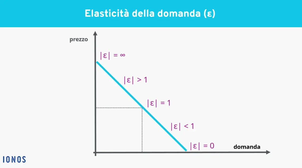 Grafico che illustra l'elasticità della domanda. La curva mostra come la domanda varia al variare del prezzo, con diverse zone di elasticità.