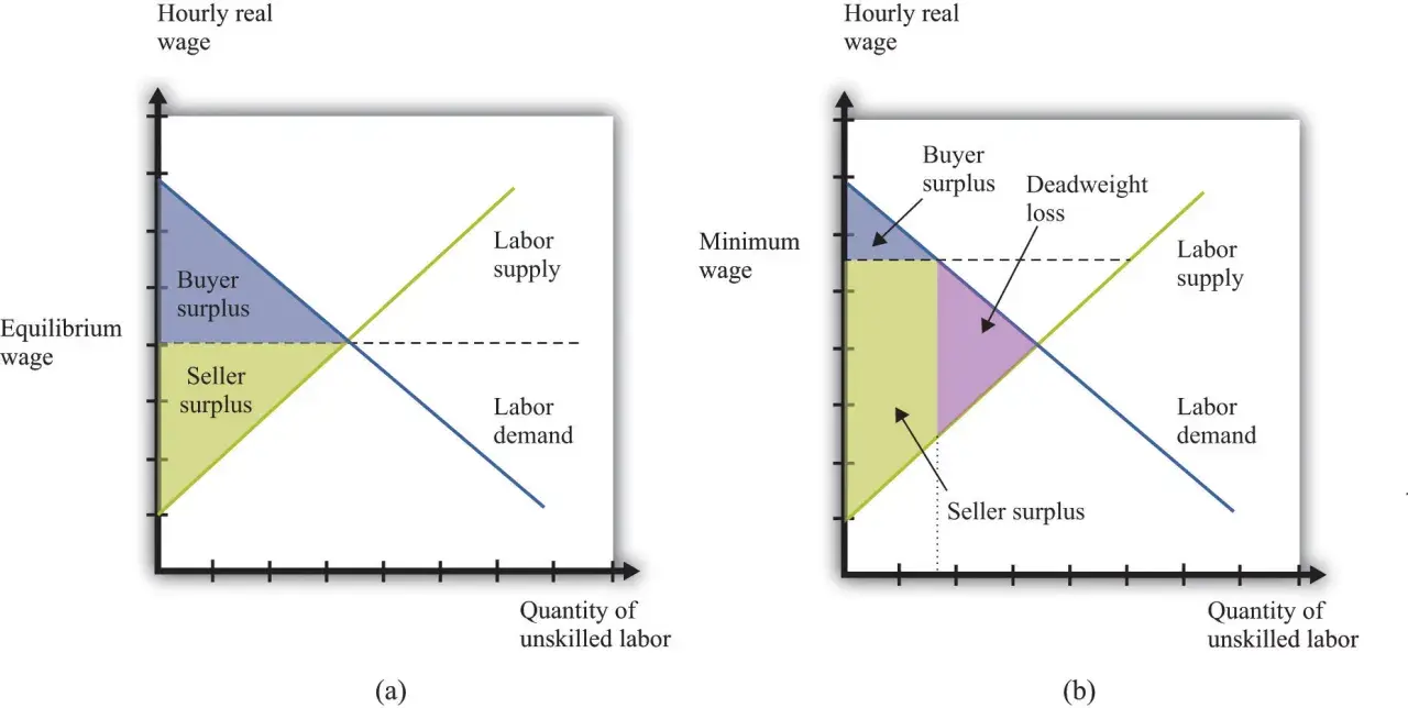 Grafici che illustrano l'impatto di un salario minimo, mostrando surplus acquirente e venditore, e la perdita secca, in relazione alla legge bronzea dei salari.