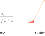 Formula per il test a due code: t statistic e t-distribution con aree di significatività evidenziate.