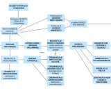 Diagramma di flusso del processo penale italiano, che mostra le fasi dall'indagine preliminare al giudizio, inclusa la possibilità di patteggiamento.