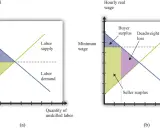 Grafici che illustrano l'impatto di un salario minimo, mostrando surplus acquirente e venditore, e la perdita secca, in relazione alla legge bronzea dei salari.