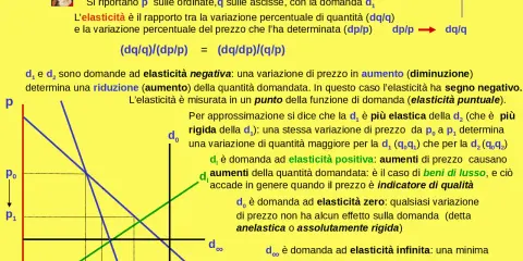 Grafico mostra curve di domanda con diverse pendenze, illustrando l'elasticità della domanda. Una curva più piatta indica maggiore elasticità.