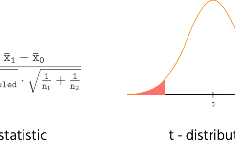 Formula per il test a due code: t statistic e t-distribution con aree di significatività evidenziate.