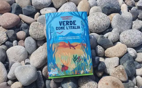 Il libro verde "Verde come l'Italia" giace tra ciottoli levigati, con un'illustrazione di natura e animali.