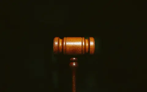 Martelletto da giudice in legno scuro, simbolo di giustizia e del convenuto significato.
