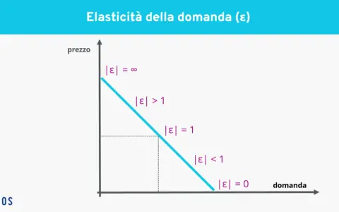 Grafico che illustra l'elasticità della domanda. La curva mostra come la domanda varia al variare del prezzo, con diverse zone di elasticità.