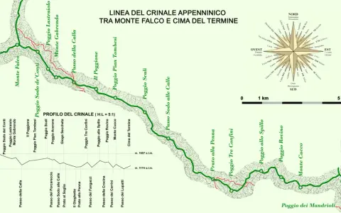 Linea del crinale appenninico tra Monte Falco e Cima del Termine, con profilo altimetrico e rosa dei venti. Un percorso escursionistico, un vero dante causa per gli amanti della montagna.