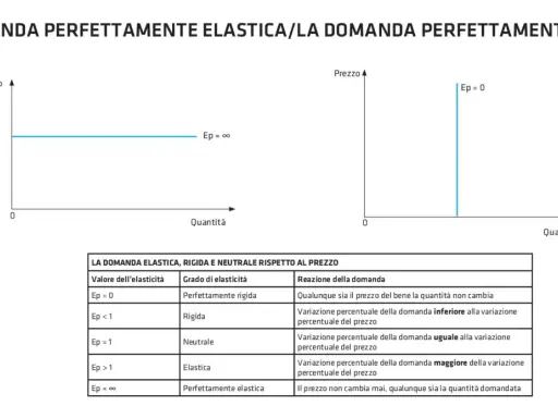 Grafici mostrano domanda perfettamente elastica (linea orizzontale) e rigida (linea verticale). La domanda perfettamente elastica indica che il prezzo non cambia mai, qualunque sia la quantità domandata.
