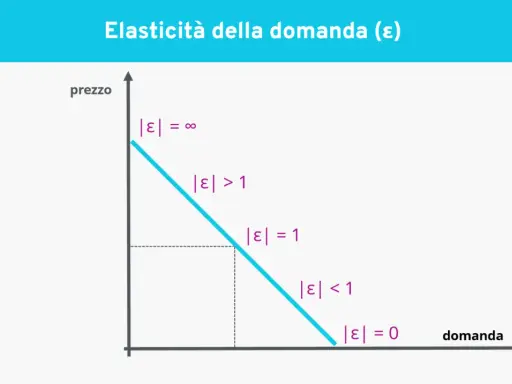 Grafico che illustra l'elasticità della domanda. La curva mostra come la domanda varia al variare del prezzo, con diverse zone di elasticità.