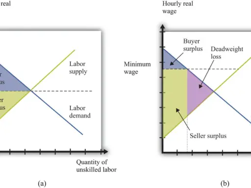 Grafici che illustrano l'impatto di un salario minimo, mostrando surplus acquirente e venditore, e la perdita secca, in relazione alla legge bronzea dei salari.