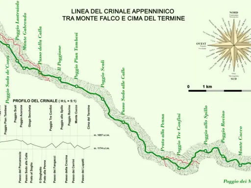 Linea del crinale appenninico tra Monte Falco e Cima del Termine, con profilo altimetrico e rosa dei venti. Un percorso escursionistico, un vero dante causa per gli amanti della montagna.
