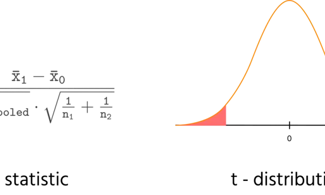 Formula per il test a due code: t statistic e t-distribution con aree di significatività evidenziate.