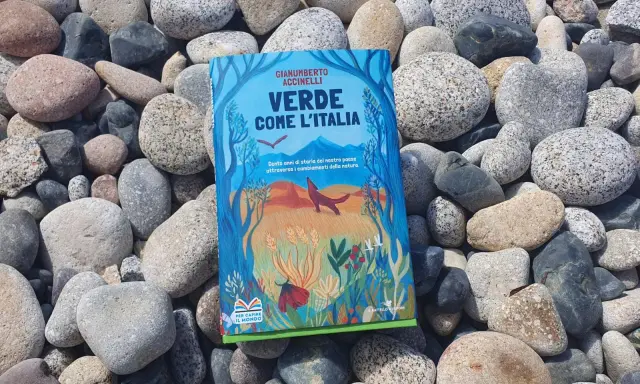 Il libro verde "Verde come l'Italia" giace tra ciottoli levigati, con un'illustrazione di natura e animali.