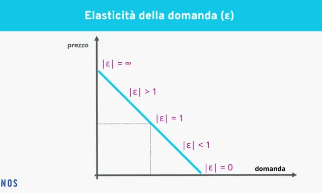 Grafico che illustra l'elasticità della domanda. La curva mostra come la domanda varia al variare del prezzo, con diverse zone di elasticità.
