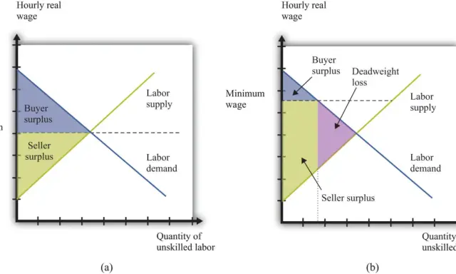 Grafici che illustrano l'impatto di un salario minimo, mostrando surplus acquirente e venditore, e la perdita secca, in relazione alla legge bronzea dei salari.