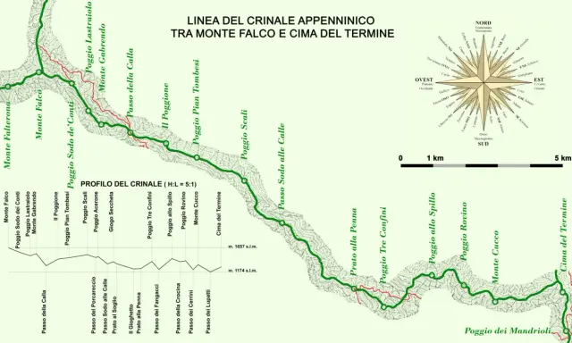 Linea del crinale appenninico tra Monte Falco e Cima del Termine, con profilo altimetrico e rosa dei venti. Un percorso escursionistico, un vero dante causa per gli amanti della montagna.