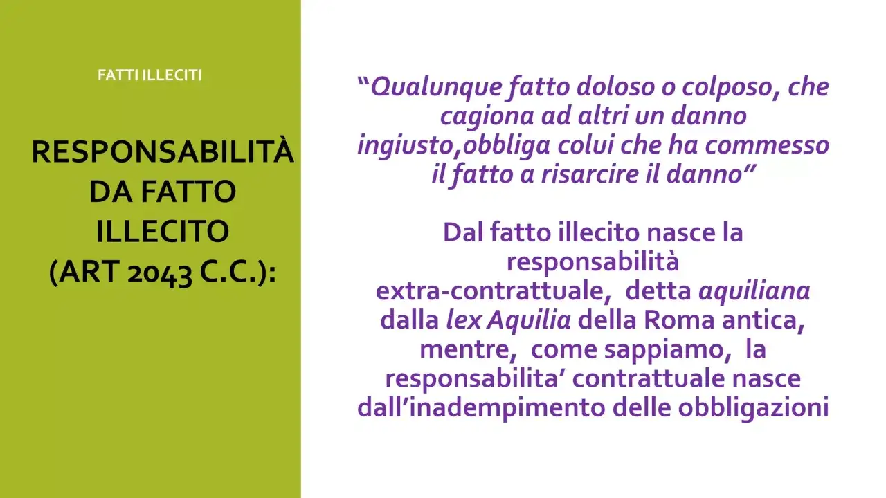 Fatti illeciti: la responsabilit&agrave; da fatto illecito, art. 2043 C.C., impone di non recare danno ad altri (neminem laedere).
