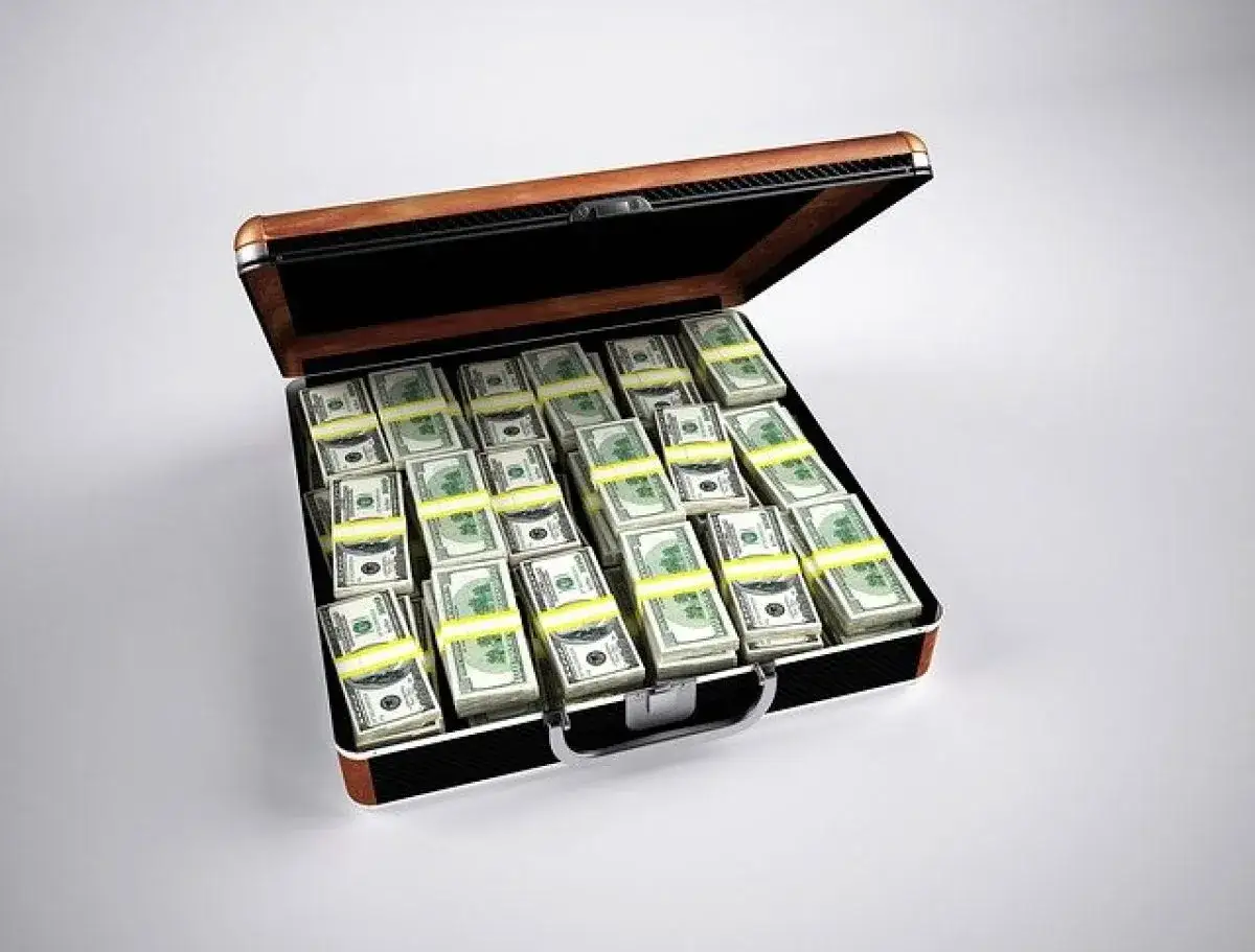 Valigetta piena di banconote da cento dollari, un incauto acquisto che promette ricchezza ma nasconde pericoli.